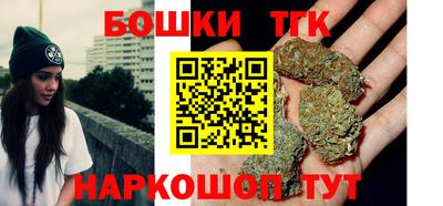 твердый Новодвинск