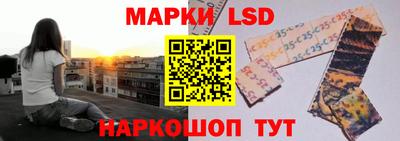 стаф Нальчик