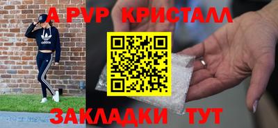стаф Нальчик