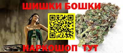 стаф Нальчик