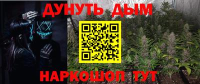 шишки Новозыбков