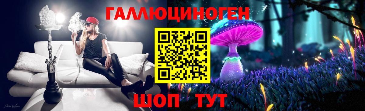 Псилоцибиновые грибы прущие грибы  Вход с VPN  Троицк 